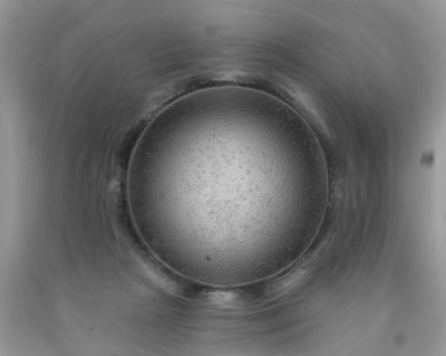 X0000091690265200709061131