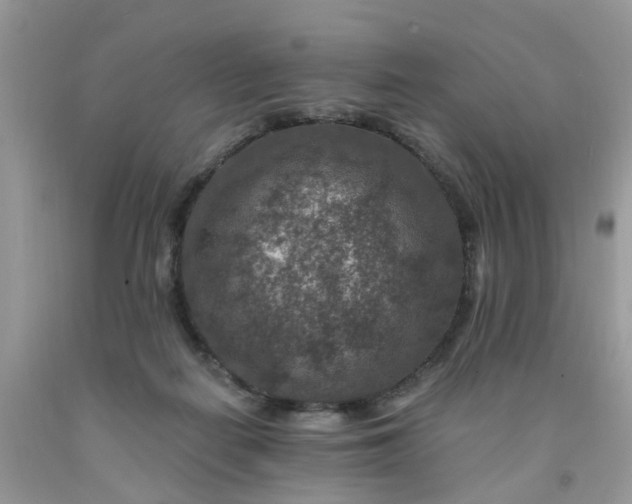 X0000091690266200709061131