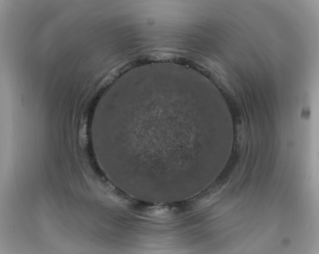 X0000091690267200709061131