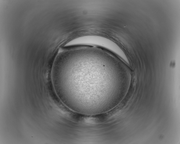 X0000091690268200709061131