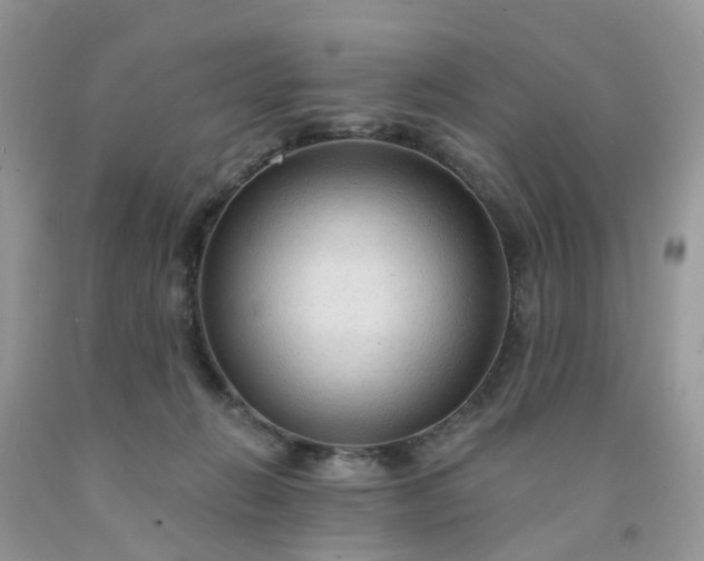 X0000091690270200709061131