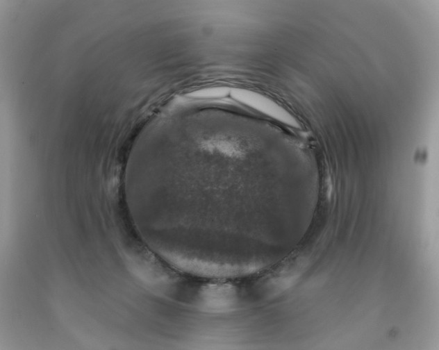 X0000091690271200709061131