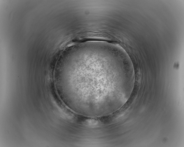 X0000091690272200709061131