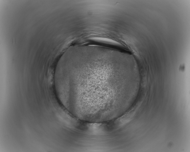 X0000091690273200709061131