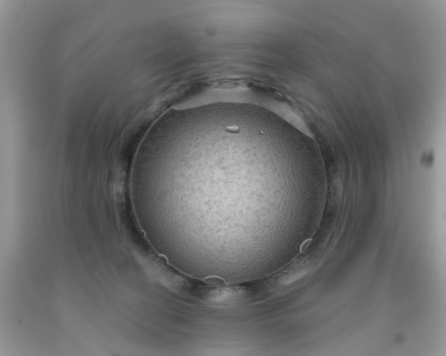 X0000091690274200709061131