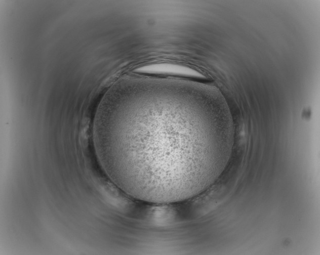 X0000091690275200709061131