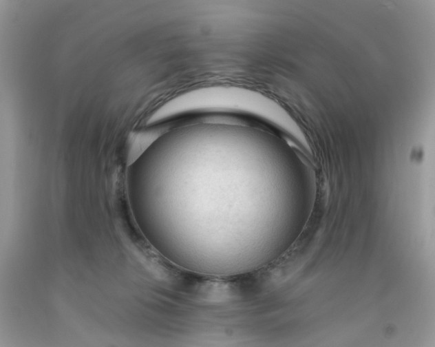 X0000091690276200709061131