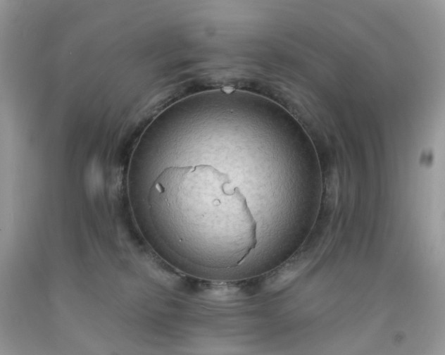 X0000091690278200709061131