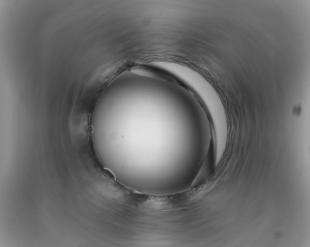 X0000091690280200709061131