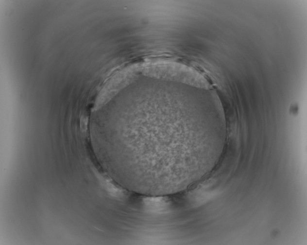 X0000091690281200709061131