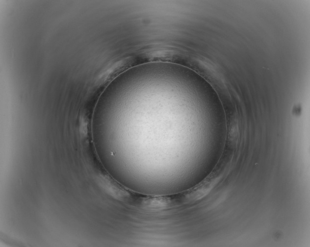 X0000091690282200709061131