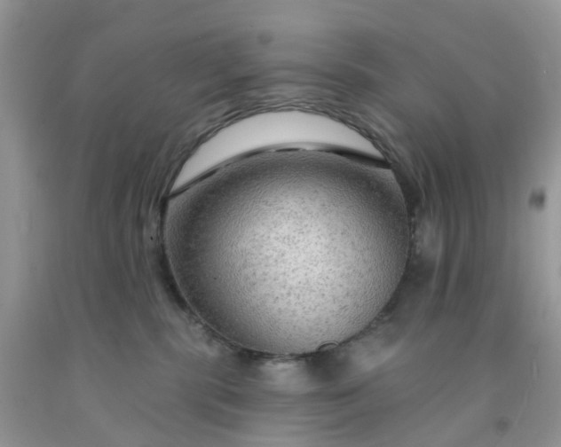 X0000091690283200709061131