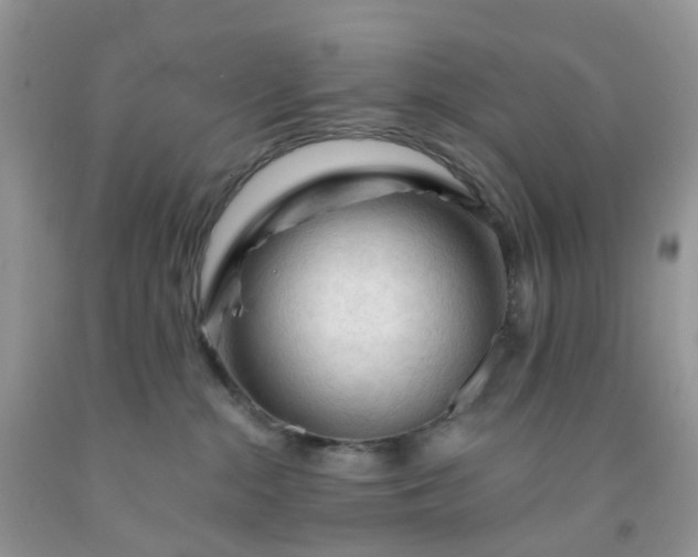 X0000091690284200709061131