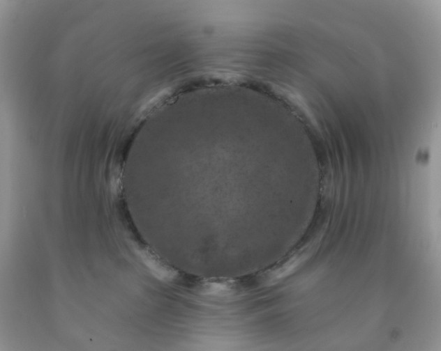 X0000091690285200709061131