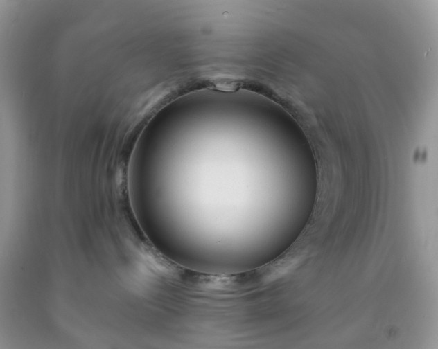 X0000091690288200709061131