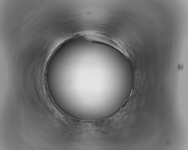 X0000091690289200709061131