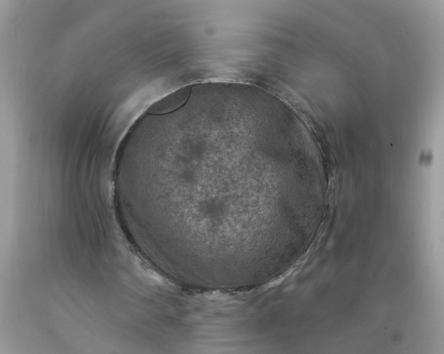 X0000091690290200709061131