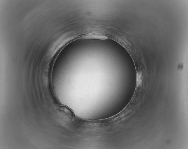 X0000091690291200709061131