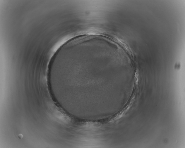 X0000091690292200709061131