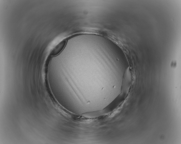 X0000091690294200709061131