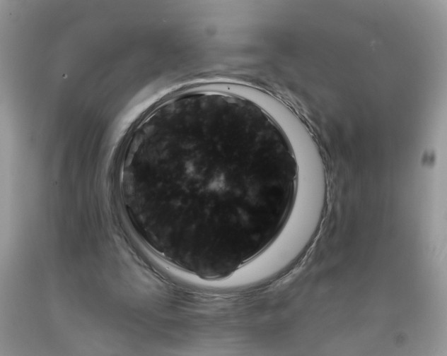 X0000091690295200709061131