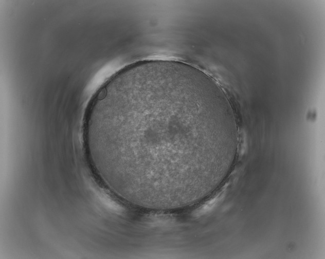 X0000091690296200709061131