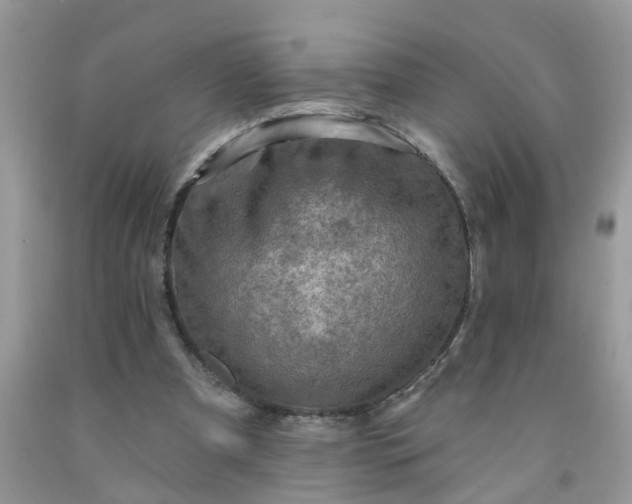 X0000091690297200709061131