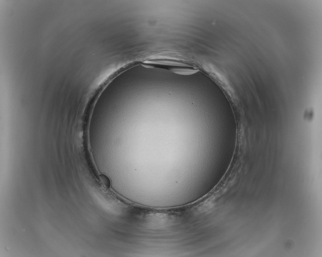 X0000091690298200709061131