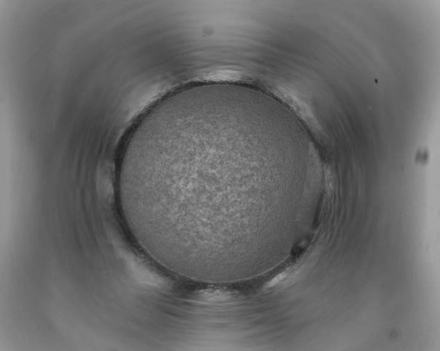 X0000091690300200709061130