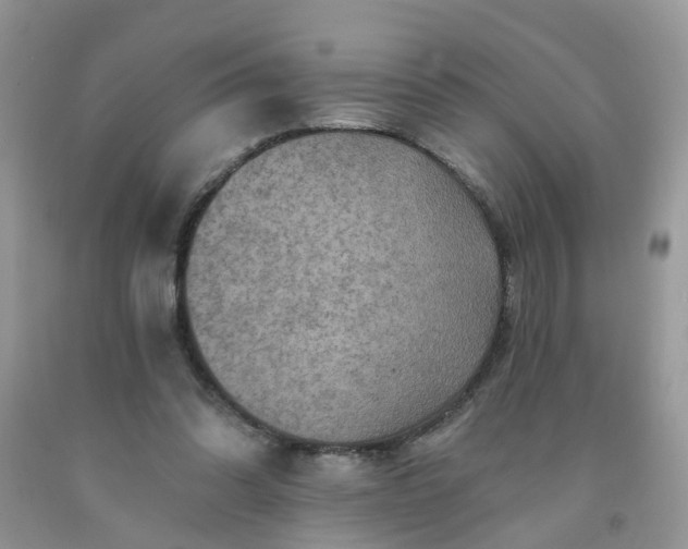 X0000091690302200709061130