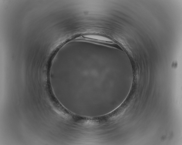 X0000091690303200709061130