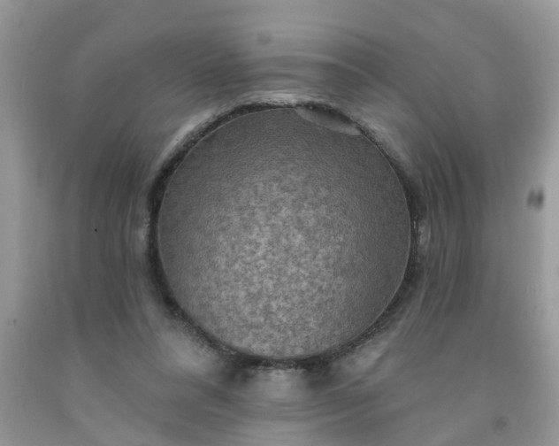 X0000091690304200709061130