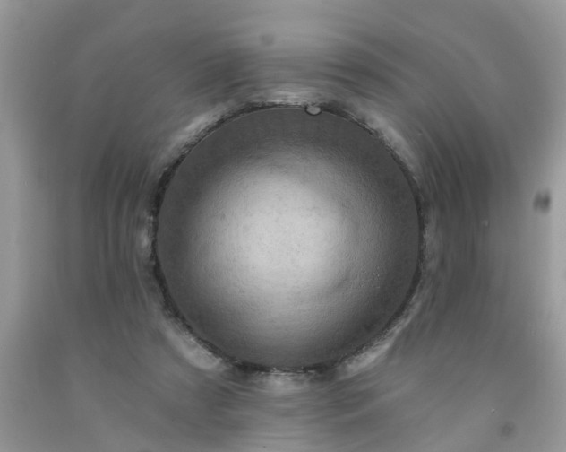 X0000091690305200709061130