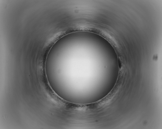 X0000091690306200709061130