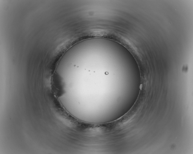 X0000091690307200709061130