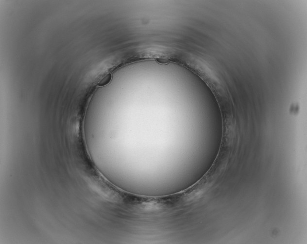 X0000091690310200709061130