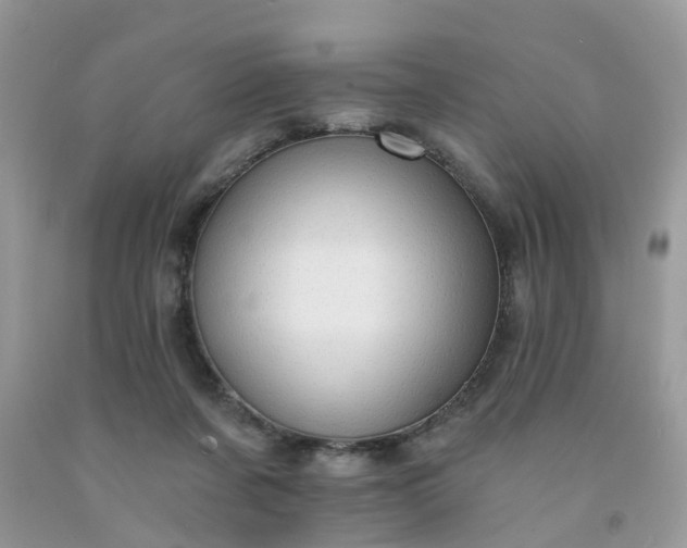 X0000091690311200709061130