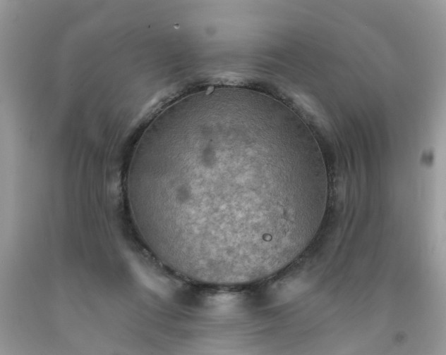 X0000091690312200709061130