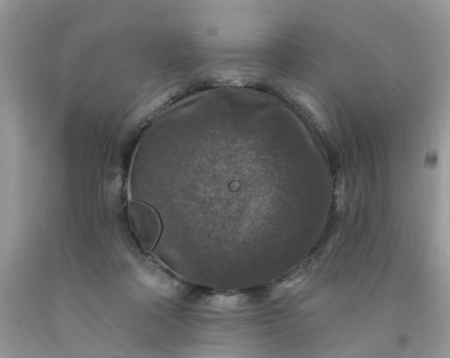 X0000091690314200709061130