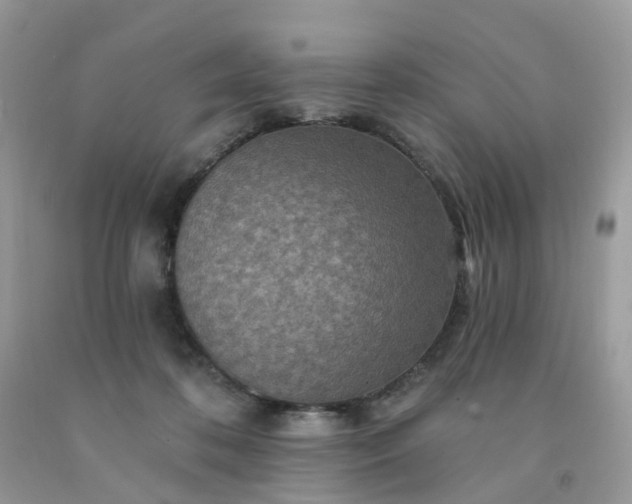 X0000091690316200709061130