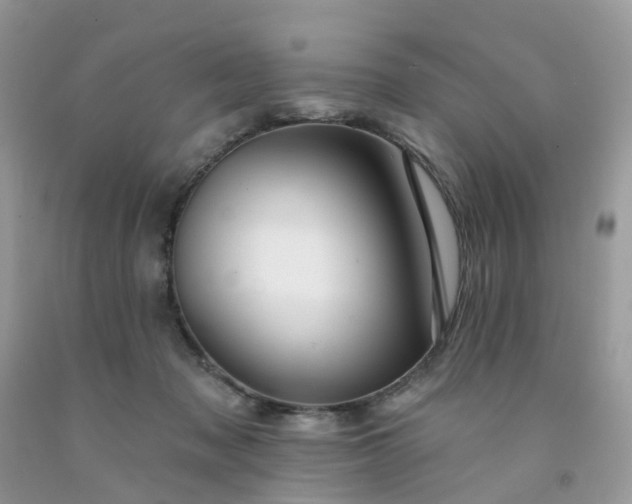 X0000091690317200709061130