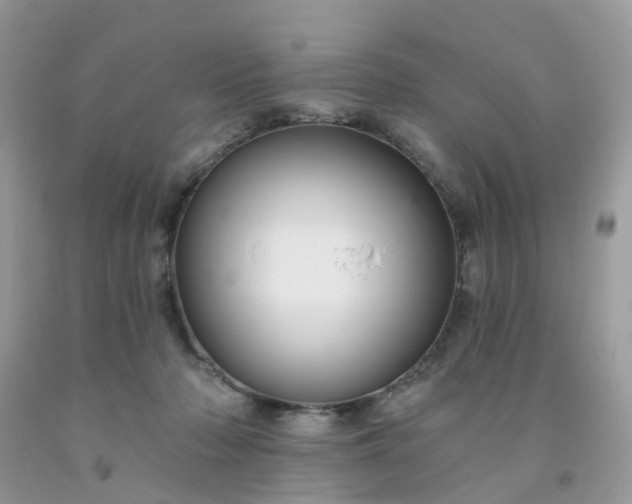 X0000091690318200709061130