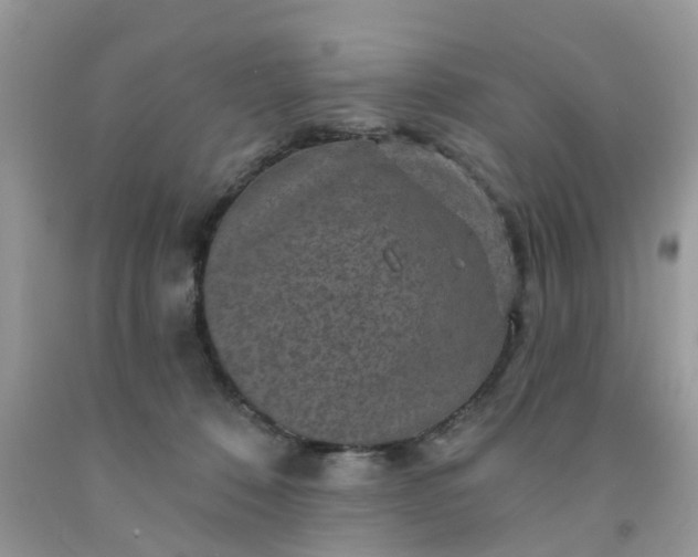 X0000091690320200709061130