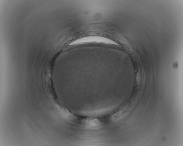 X0000091690322200709061130