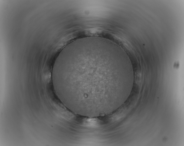 X0000091690324200709061130