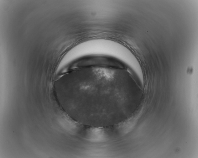 X0000091690325200709061130