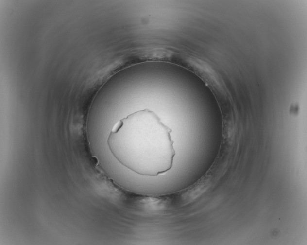 X0000091690326200709061130