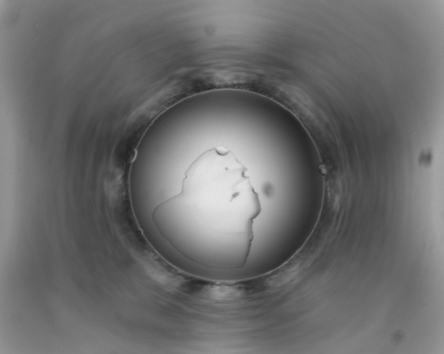 X0000091690327200709061130