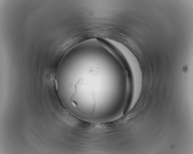 X0000091690329200709061130