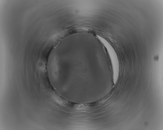 X0000091690331200709061130